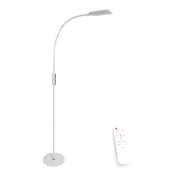 Himmennettävä LED-lattiavalaisin LED/9W/230V 3000-6500K valkoinen + kauko-ohjaus