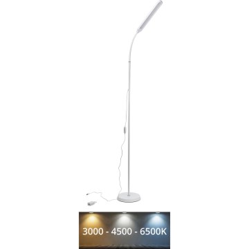 Himmennettävä LED-lattiavalaisin SIGNUS LED/10W/230V 3000/4500/6500K valkoinen