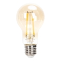 Himmennettävä LED-polttimo FILAMENT A60 E27/6W/230V 2200K - Aigostar