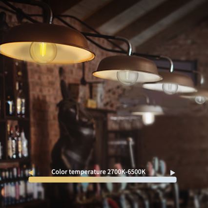 Himmennettävä LED-polttimo FILAMENT G45 E27/4,5W/230V 2700-6500K Wi-Fi - Aigostar
