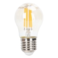 Himmennettävä LED-polttimo FILAMENT G45 E27/4W/230V 2200K - Aigostar