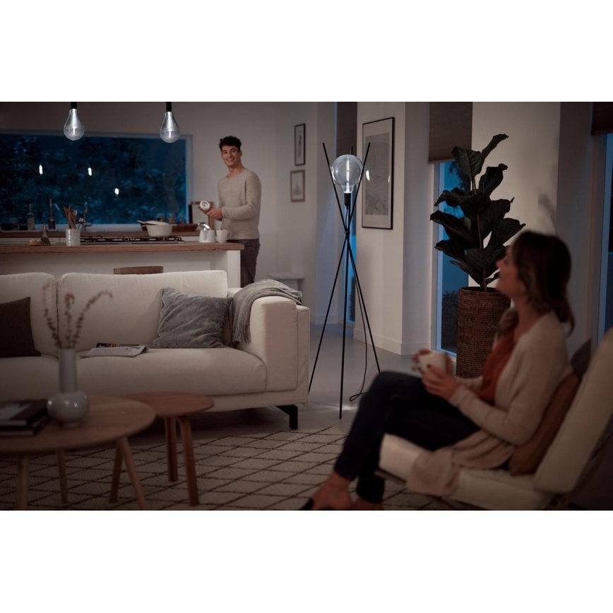 Himmennettävä LED-polttimo SMOKY VINTAGE Philips E27/6,5W/230V 4000K