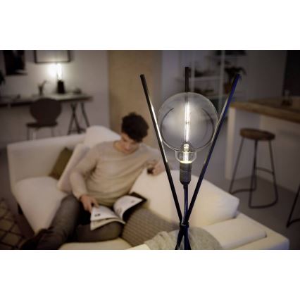 Himmennettävä LED-polttimo SMOKY VINTAGE Philips G200 E27/6,5W/230V 4000K