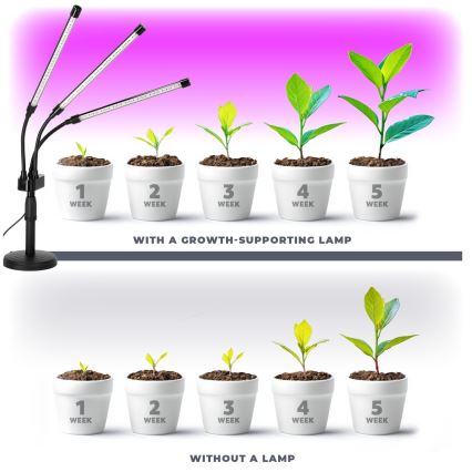 LED Himmennettävä flexible pöytävalaisin kasvien kasvattamiseen VITARO 3xLED/10W/230V musta