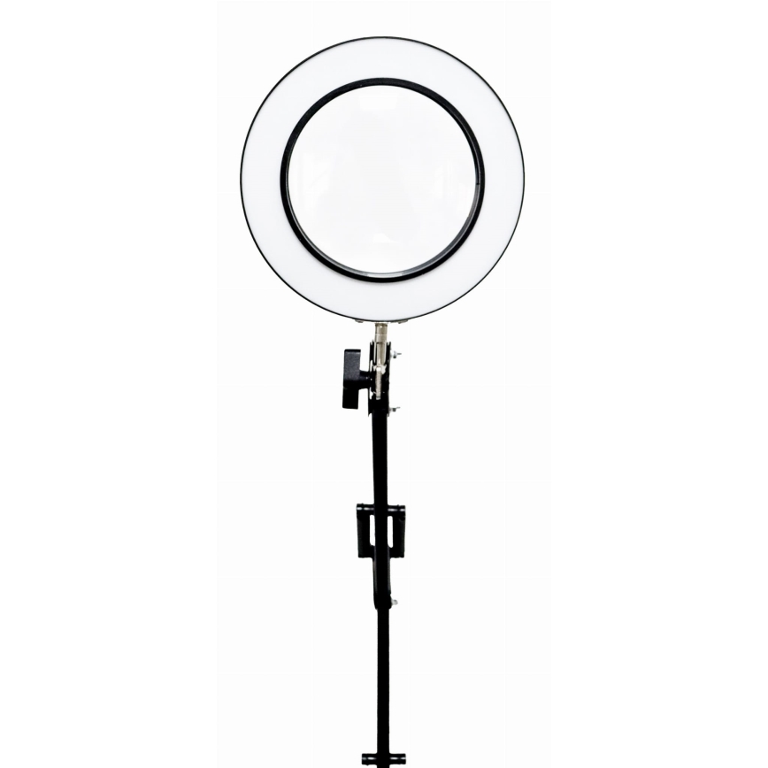 Himmennettävä LED-pöytävalaisin suurennuslasilla LED/10W/230V 3000/4500/6000K