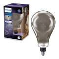 Himmennettevä LED-polttimo SMOKY VINTAGE Philips A160 E27/6,5W/230V 4000K