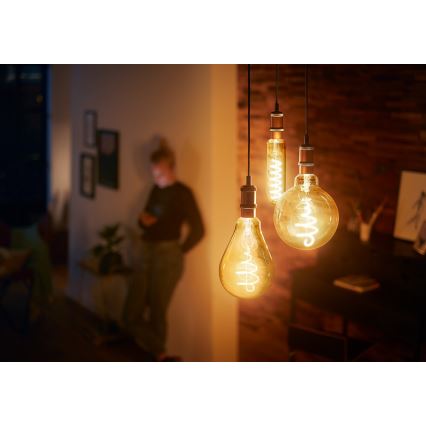 Himmennettevä LED-polttimo VINTAGE Philips A160 E27/6,5W/230V 2000K