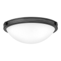 Hinkley - Kattovalaisin COLLIER 2xE27/40W/230V halkaisija 34,6 cm musta