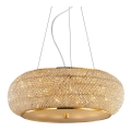 Ideal Lux - Kristallikruunu johdossa PASHA 14xE14/40W/230V halkaisija 65 cm kulta