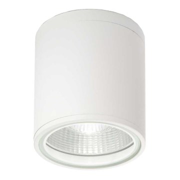 Ideal Lux - Kylpyhuoneen kohdevalo GUN 1xGU10/28W/230V IP44 valkoinen