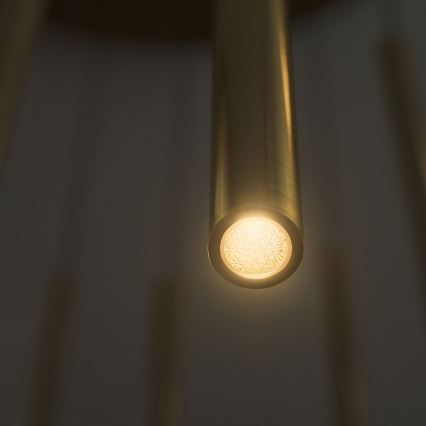 Ideal Lux - LED-kattokruunu johdossa FILO LED/25W/230V messinki