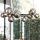 Ideal Lux - LED-kattokruunu johdossa PERLAGE 11xG9/3W/230V musta