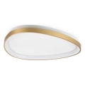 Ideal Lux - LED-kattovalaisin GEMINI LED/30W/230V halkaisija 61 cm CRI 90 kulta