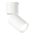 Ideal Lux - LED-kohdevalaisin TOBY 1xGU10/7W/230V CRI 90 valkoinen