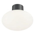 Ideal Lux - Ulkokattovalaisin CLIO 1xE27/42W/230V IP44 antrasiitti