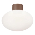Ideal Lux - Ulkokattovalaisin CLIO 1xE27/42W/230V IP44 ruskea