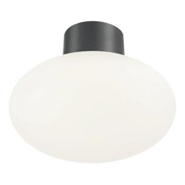 Ideal Lux - Ulkokattovalo CLIO 1xE27/42W/230V IP44 antrasiitti