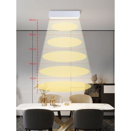 Immax NEO 07072-60 - Himmennettävä LED-kattovalaisin CANTO LED/34W/230V valkoinen Tuya + kauko-ohjaus