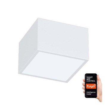 Immax NEO 07072L-15 - LED Himmennysvalo CANTO LED/12W/230V valkoinen Tuya