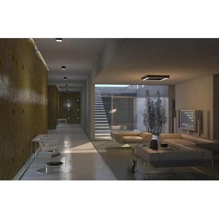 Immax Neo 07072L-15BD - Setti 2x Himmennettävä LED-kattovalaisin CANTO 2xLED/12W/230V + kauko-ohjaus Tuya