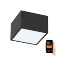 Immax NEO 07074L-15 - LED Himmennysvalo CANTO LED/12W/230V musta Tuya
