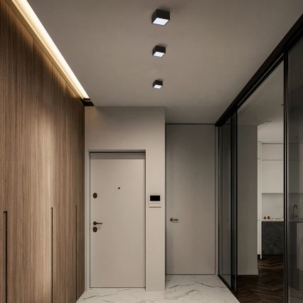 Immax Neo 07074L-15BD - Setti 2x Himmennettävä LED-kattovalaisin CANTO 2xLED/12W/230V + kauko-ohjaus Tuya