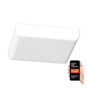 Immax NEO 07110K - LED Himmennettävä kylpyhuoneen upotettava valo PRACTICO LED/24W/230V Tuya