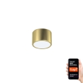 Immax Neo 07127L - Himmennettävä LED-kattovalaisin RONDATE kultainen LED/12W/230V Tuya
