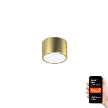 Immax Neo 07127L - Himmennettävä LED-kattovalaisin RONDATE kultainen LED/12W/230V Tuya
