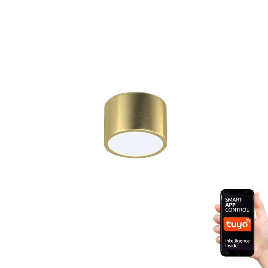 Immax Neo 07127L - Himmennettävä LED-kattovalaisin RONDATE kultainen LED/12W/230V Tuya
