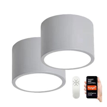 Immax NEO 07143-GR15BD-SETTI 2x LED-kattovalaisin RONDATE LED/12W/230V Tuya harmaa + kaukosäädin
