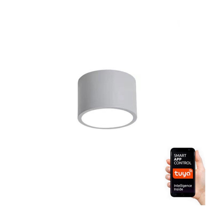 Immax NEO 07143-GR15X - Himmennettävä LED-valaisin RONDATE LED/12W/230V harmaa Tuya