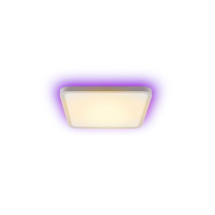 Immax NEO 07168-W40 - LED RGB+CCT Himmennettävä kattovalaisin NEO LITE TUDO LED/50W/230V Wi-Fi Tuya valkoinen + kaukosäädin