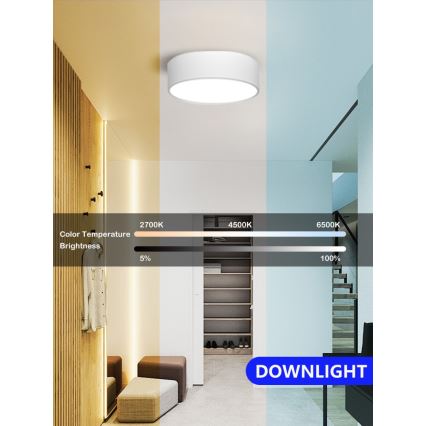 Immax NEO 07204L - Himmennettävä LED-kattovalaisin RONDATE LED/18W/230V 3000-6000K valkoinen Tuya + kauko-ohjaus