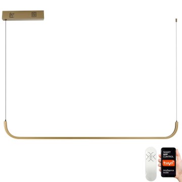 Immax NEO 07227L - Himmennettävä LED-kattokruunu johdossa PATTINI LED/26W/230V 3000-6000K Tuya + kauko-ohjaus