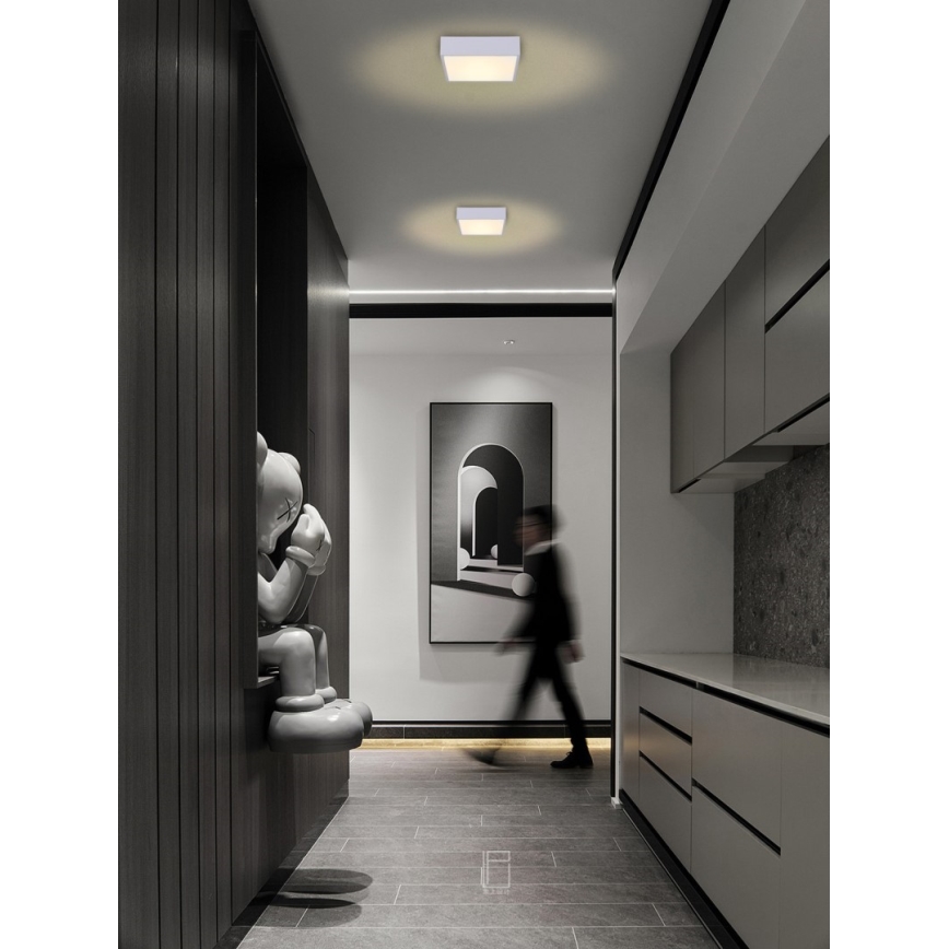 Immax NEO 07238L - Himmennettävä LED-kattovalaisin CANTO LED/22W/230V valkoinen Tuya + kauko-ohjaus