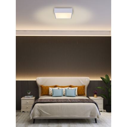 Immax NEO 07238L - Himmennettävä LED-kattovalaisin CANTO LED/22W/230V valkoinen Tuya + kauko-ohjaus