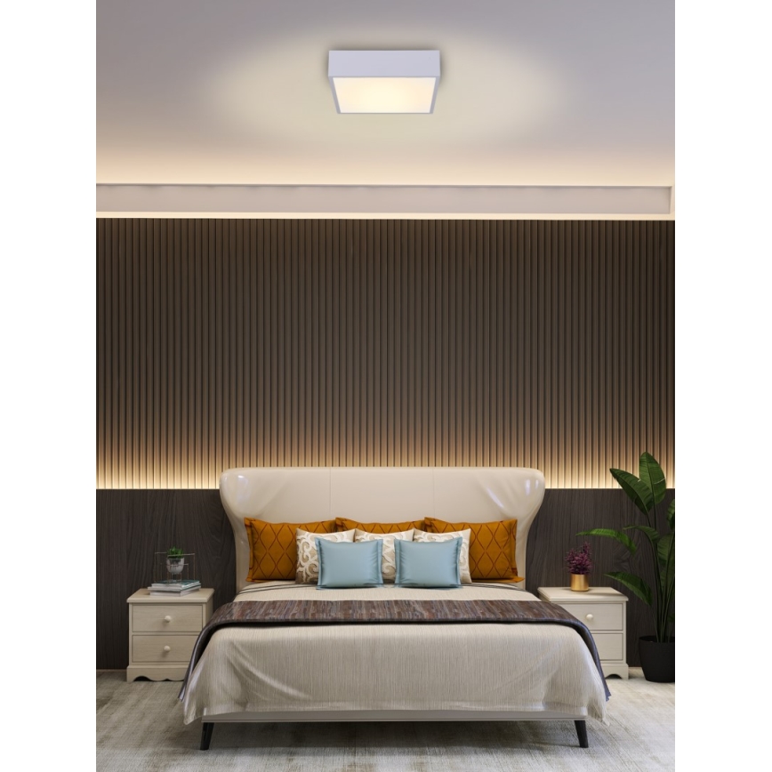 Immax NEO 07238L - Himmennettävä LED-kattovalaisin CANTO LED/22W/230V valkoinen Tuya + kauko-ohjaus