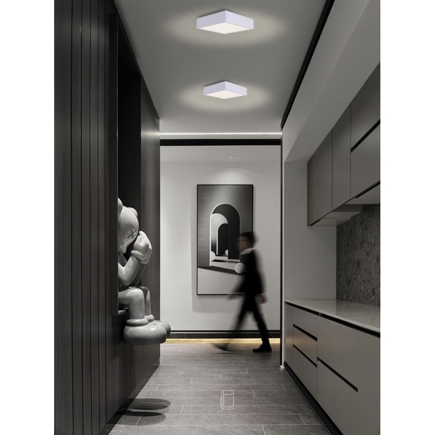 Immax NEO 07238L - Himmennettävä LED-kattovalaisin CANTO LED/22W/230V valkoinen Tuya + kauko-ohjaus