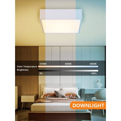 Immax NEO 07238L - Himmennettävä LED-kattovalaisin CANTO LED/22W/230V valkoinen Tuya + kauko-ohjaus