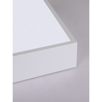 Immax NEO 07238L - Himmennettävä LED-kattovalaisin CANTO LED/22W/230V valkoinen Tuya + kauko-ohjaus