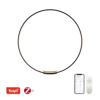 Immax NEO 07245-120 - Himmennettävä LED-seinävalaisin FINO LED/70W/230V 120 cm Tuya + kauko-ohjaus