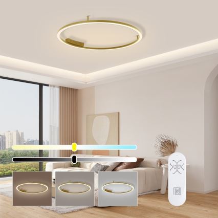 Immax NEO 07291-80G - LED+CCT Himmennettävä kattovalaisin FINO LED/55W/230V 2700-6500K Tuya halkaisija 80 cm + kaukosäädin