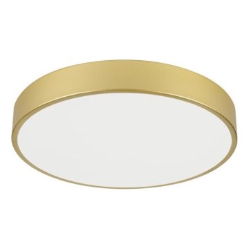 Immax NEO 07292L - LED+CCT Himennettävä kattovalaisin SEMPLICI LED/36W/230V 2700-6500K halkaisija 40 cm + kaukosäädin