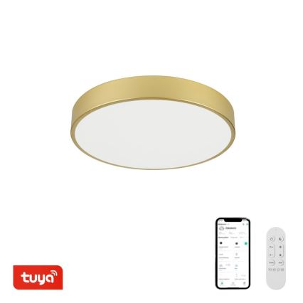 Immax NEO 07292L - LED+CCT Himennettävä kattovalaisin SEMPLICI LED/36W/230V 2700-6500K halkaisija 40 cm + kaukosäädin