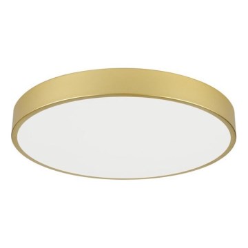 Immax NEO 07293L - LED+CCT himmennettävä kattovalaisin SEMPLICI LED/60W/230V 2700-6500K halkaisija 60 cm + kaukosäädin