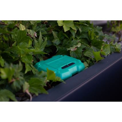 Immax NEO 07509L - Maaperän kosteus- ja lämpötila-anturi NEO LITE Wi-Fi 3xAAA IP65