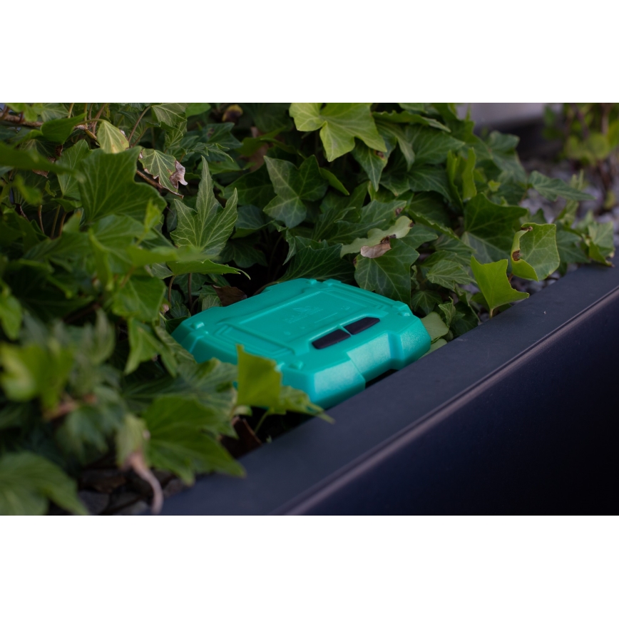 Immax NEO 07509L - Maaperän kosteus- ja lämpötila-anturi NEO LITE Wi-Fi 3xAAA IP65
