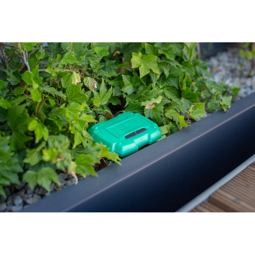 Immax NEO 07509L - Maaperän kosteus- ja lämpötila-anturi NEO LITE Wi-Fi 3xAAA IP65