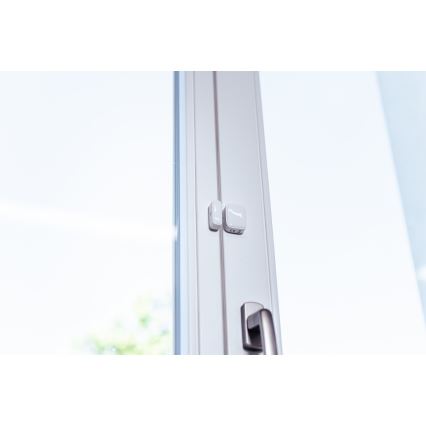 Immax NEO 07511L - SETTI 2x Magneettinen ikkuna- ja ovianturi SMART 1xCR2032  Zigbee Tuya